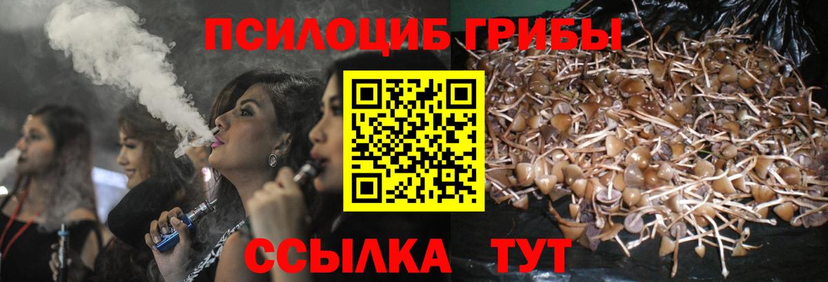 Галлюциногенные грибы прущие грибы  Галлюциногенные грибы Cubensis  Урюпинск  Вход с VPN 